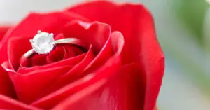 Diamond solitaire engagement ring inside a red rose