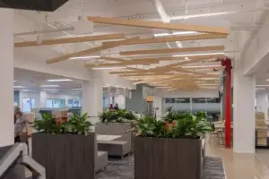 Wide shot of the open workspace at the Walsh Buffalo office