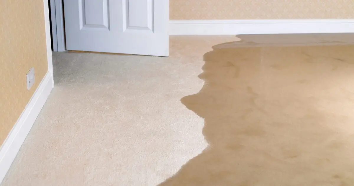 Water damage in home